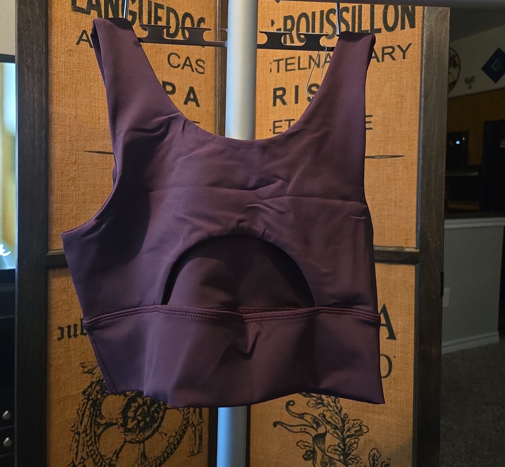 DYI Plum Scoop-Back Crop Top